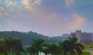 新会陈经纶中学 新会陈经纶中学